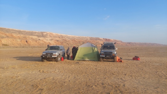 Aral see