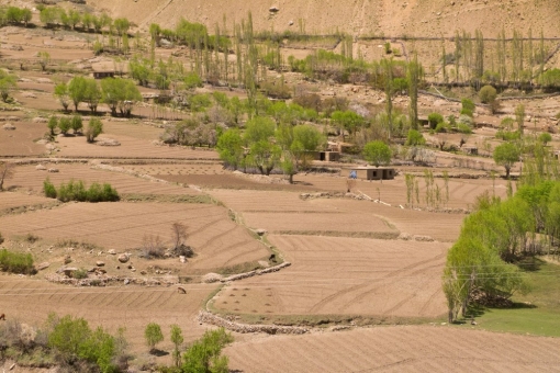 Afghan fields in the Pyanj river valley