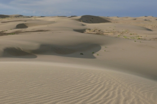 The famous sands of Mongol-Els