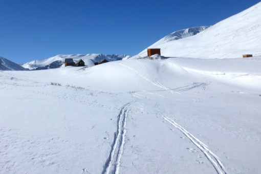 ski tour to the Ukok plateau