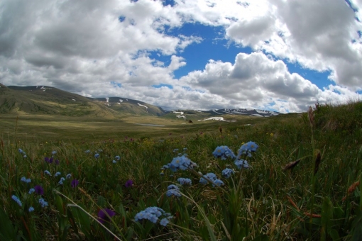 the Ukok Plateau - perfect view on the Warm spring pass