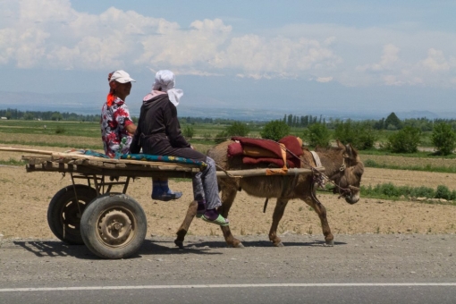locals, Tajikistan